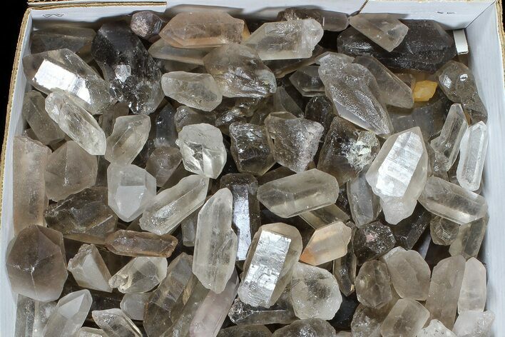 Lot: Lbs Smoky Quartz Crystals (-) - Brazil #77842